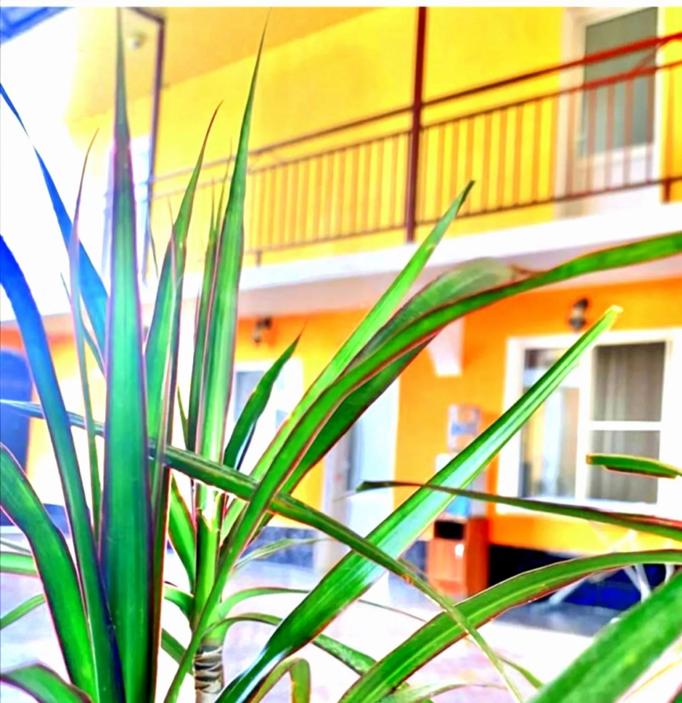 . Гостевой дом Южный берег.. Адлер