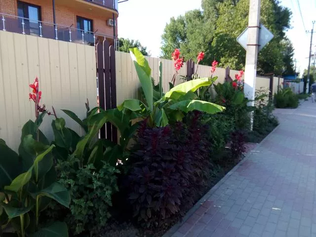 . Частный сектор "На Вишневой". Архипо-Осиповка