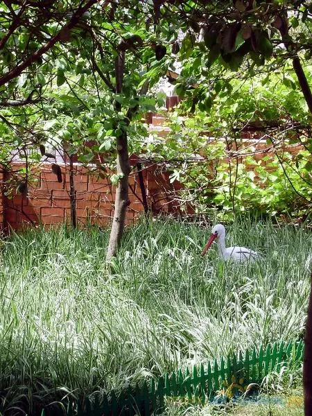 . Дом под ключ "Аист". Лазаревское