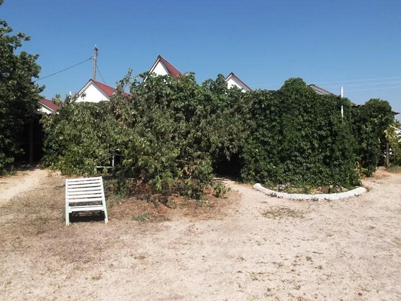 Частный сектор "Усадьба Галины" Частный сектор "Усадьба Галины"