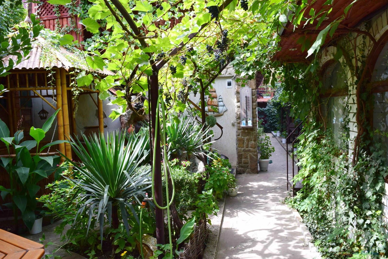 . Гостевой дом "Триера". Судак