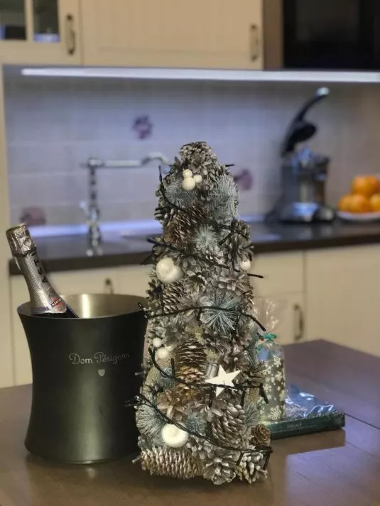 . Апартаменты Романовские на Красной Поляне. Красная Поляна