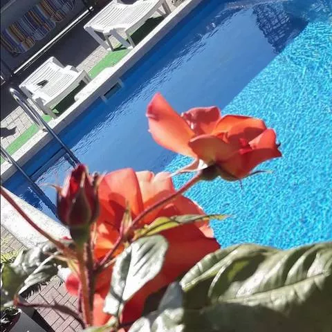 . Гостевой дом «Морская миля». Архипо-Осиповка