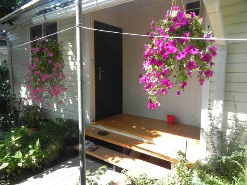 . Частный сектор Экзотический рай. Головинка