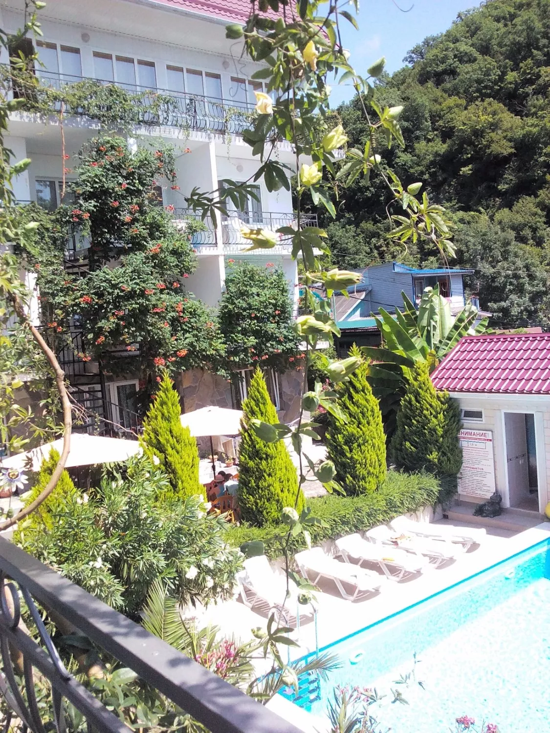 . Гостевой дом "У Александра". Лазаревское