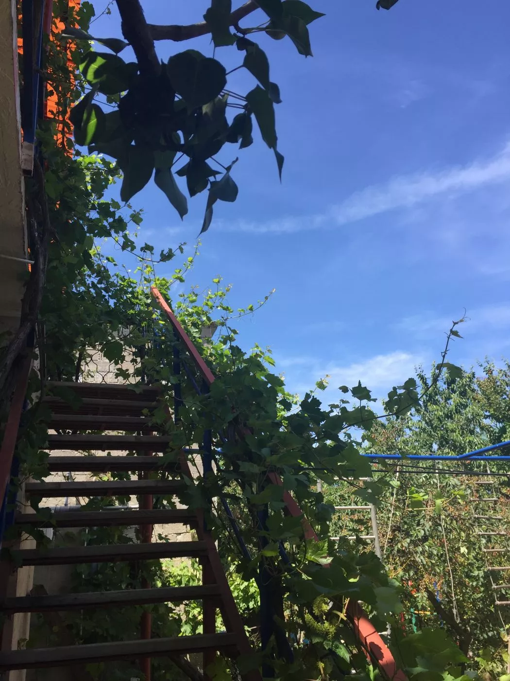 . Гостевой дом на Комарова 17. Витязево