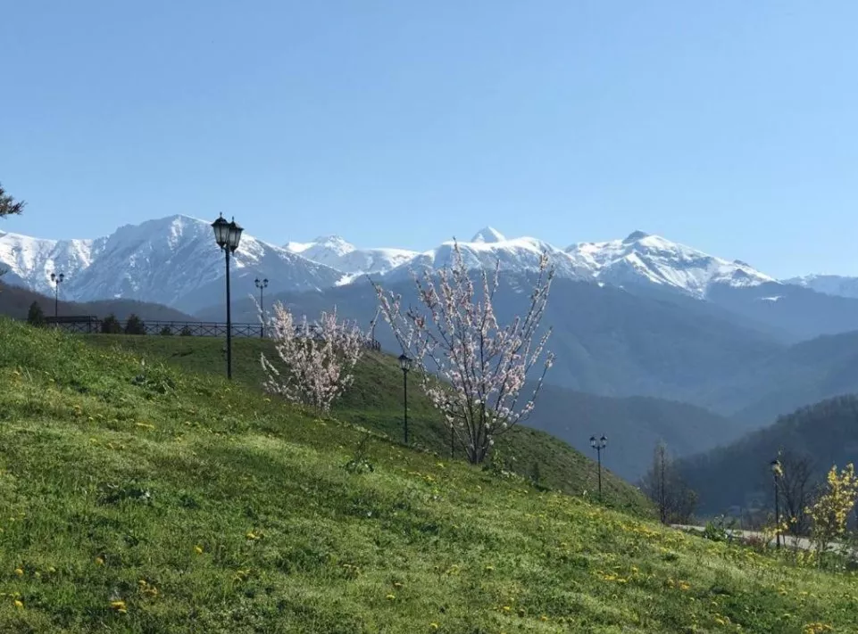 . Апартаменты Романовские на Красной Поляне. Красная Поляна