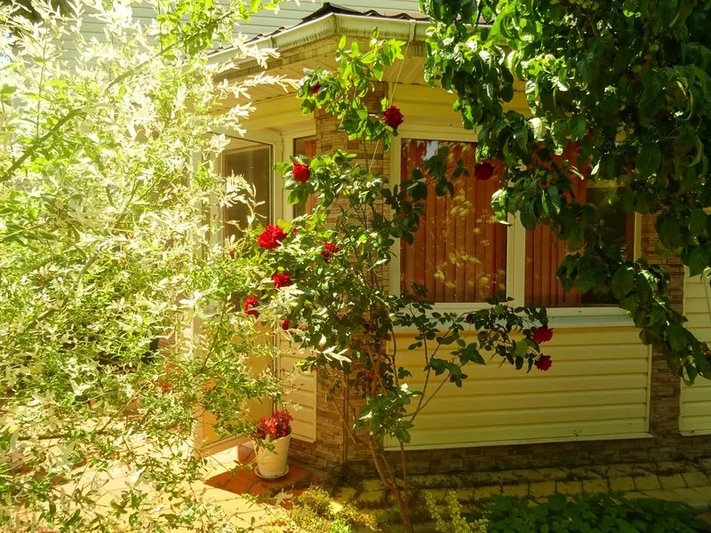 . Частный сектор "Цезарь". Архипо-Осиповка