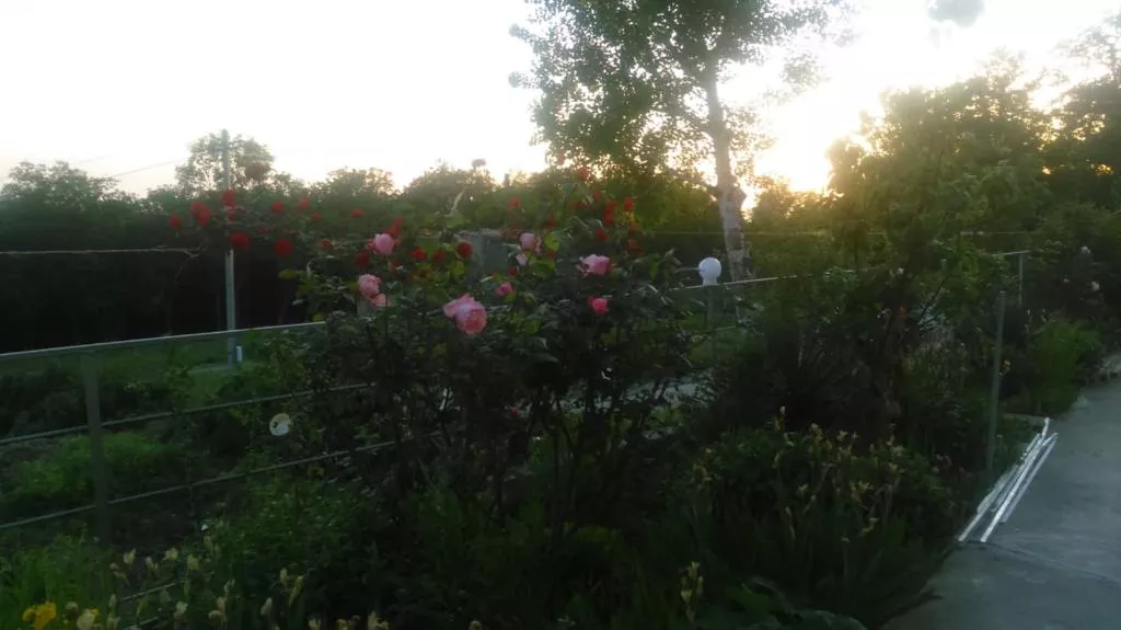 . Гостевой дом Дельфин - Новомихайловский. Новомихайловский . Гостевой дом Дельфин - Новомихайловский. Новомихайловский