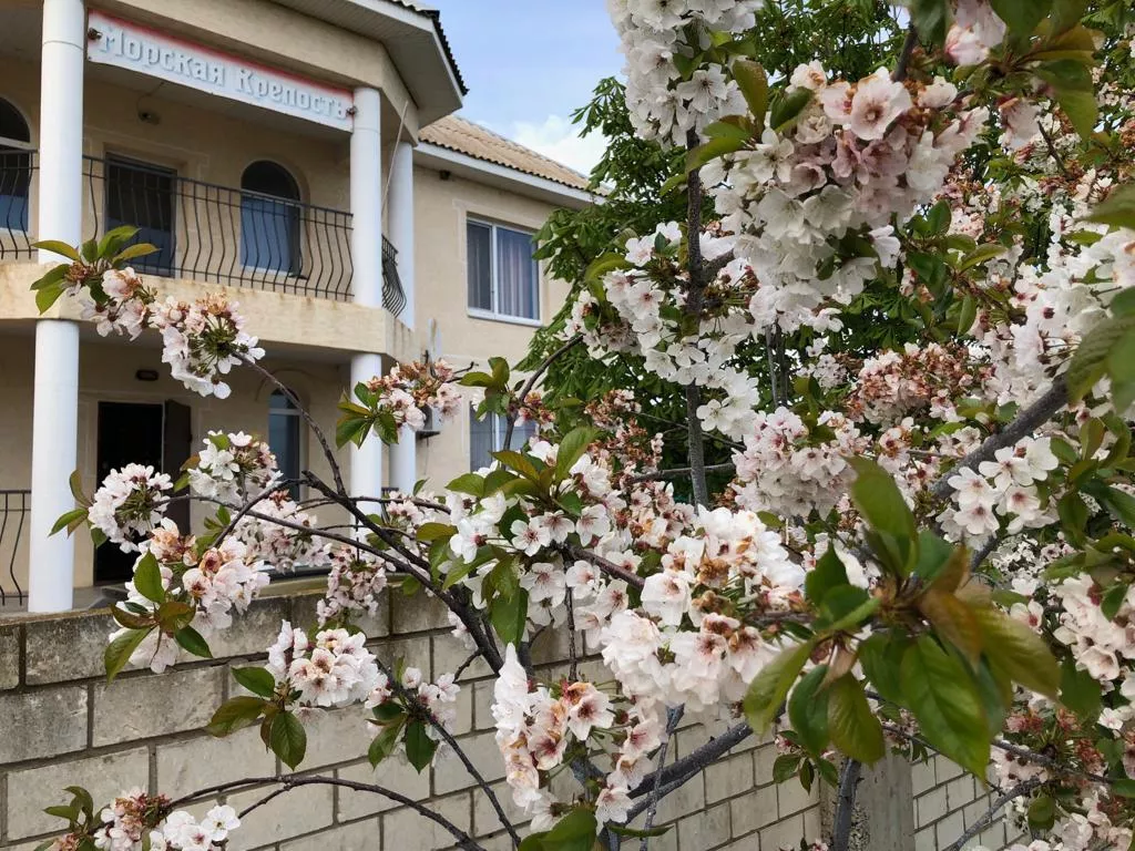 . Отель "Морская Крепость". Приморский