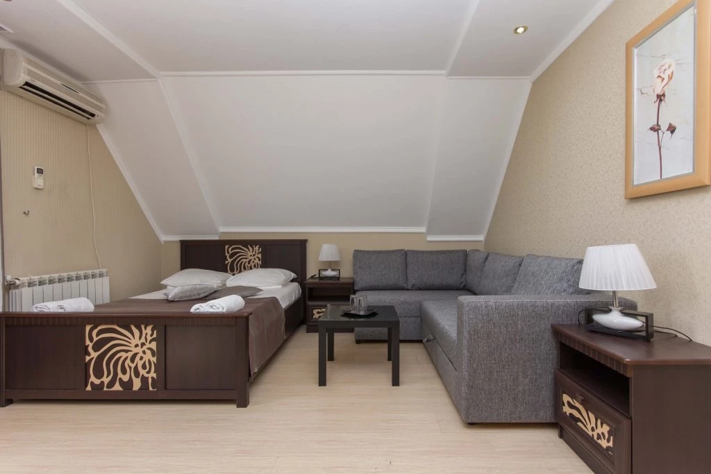 Стандарт 3-х местный. Отель "Виноград". Сочи