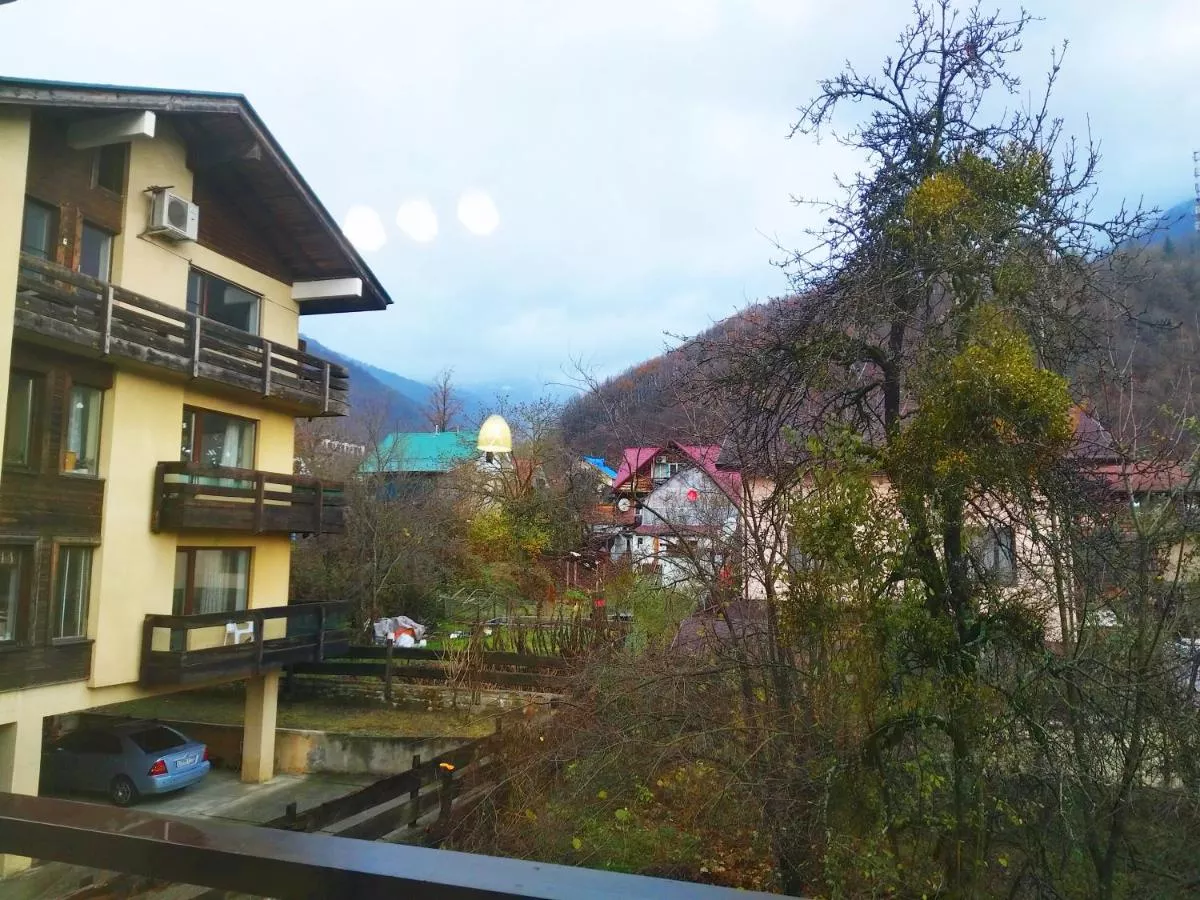 . Апарт-отель "Благодарный круглый год". Красная Поляна