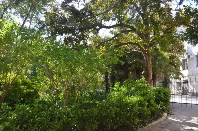 . Гостевой дом У Александра. Ялта