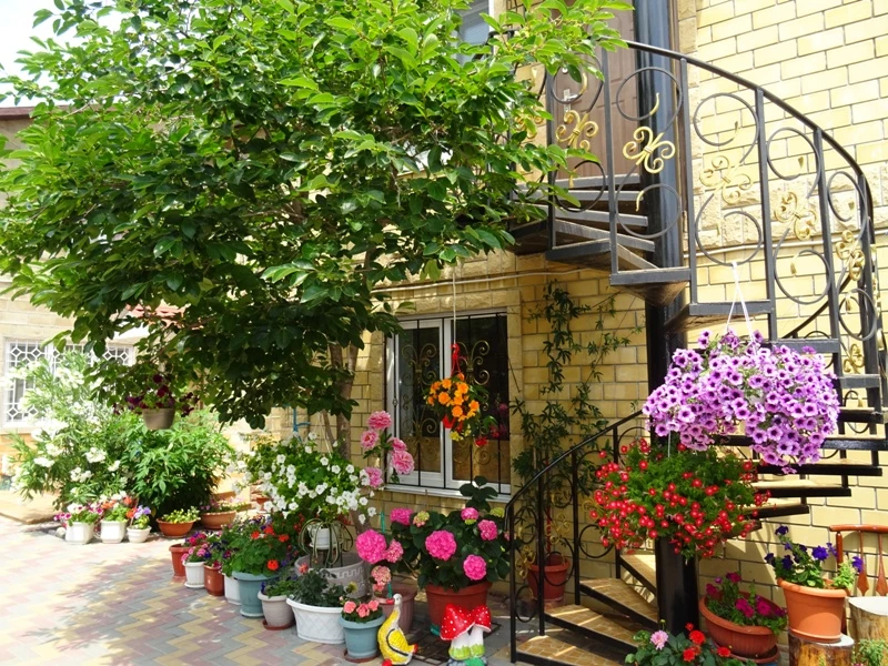 . Дом под ключ Королева 10. Коктебель