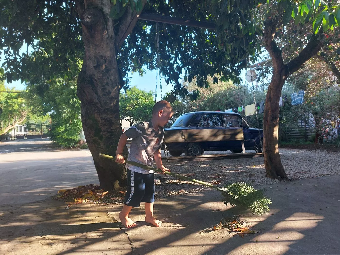 . Гостевой дом КАМЕЛИЯ. Пицунда