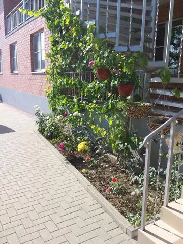 . Гостевой дом «Морская миля». Архипо-Осиповка