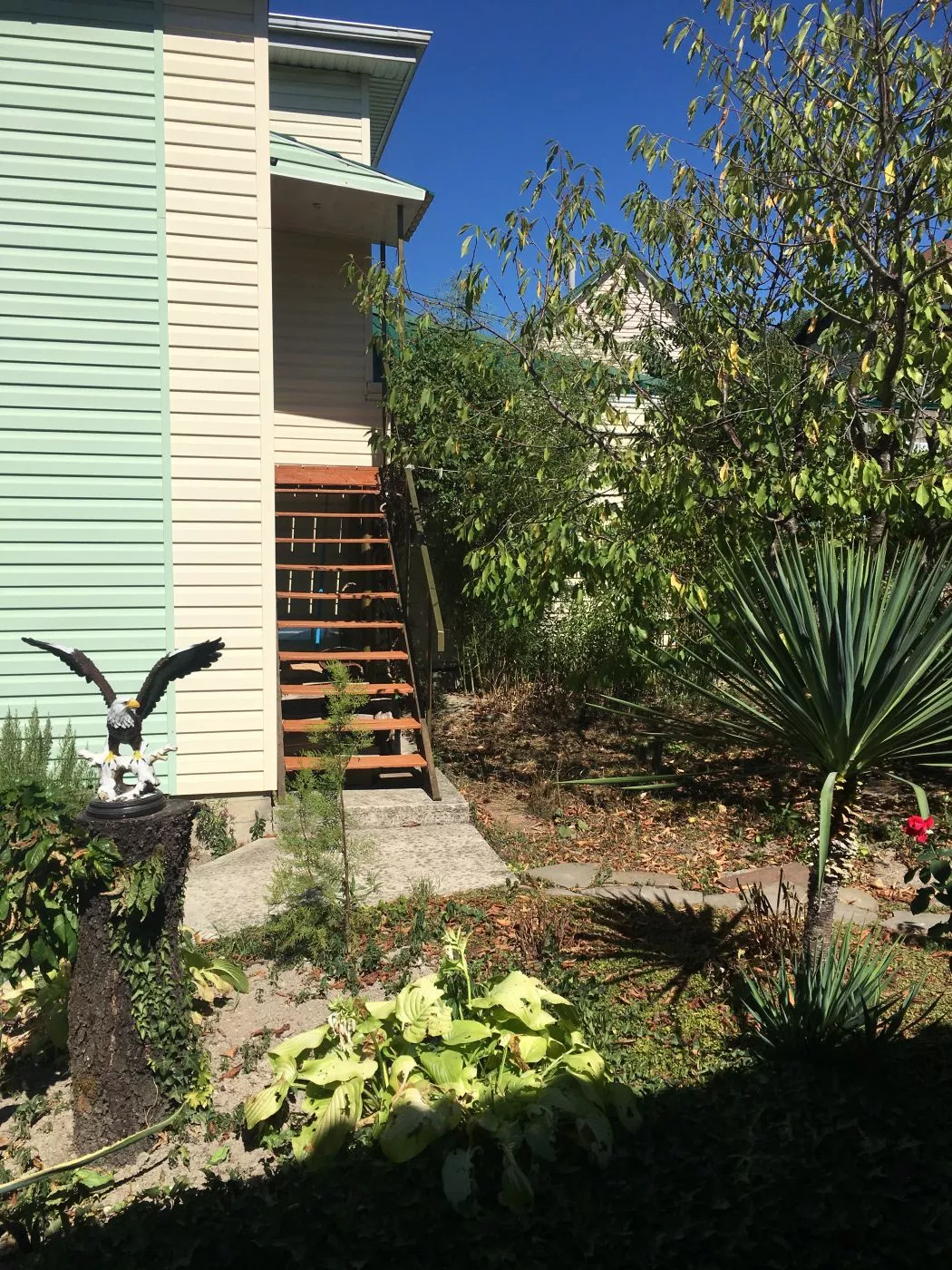 .  Частный сектор «У Людмилы» . Архипо-Осиповка