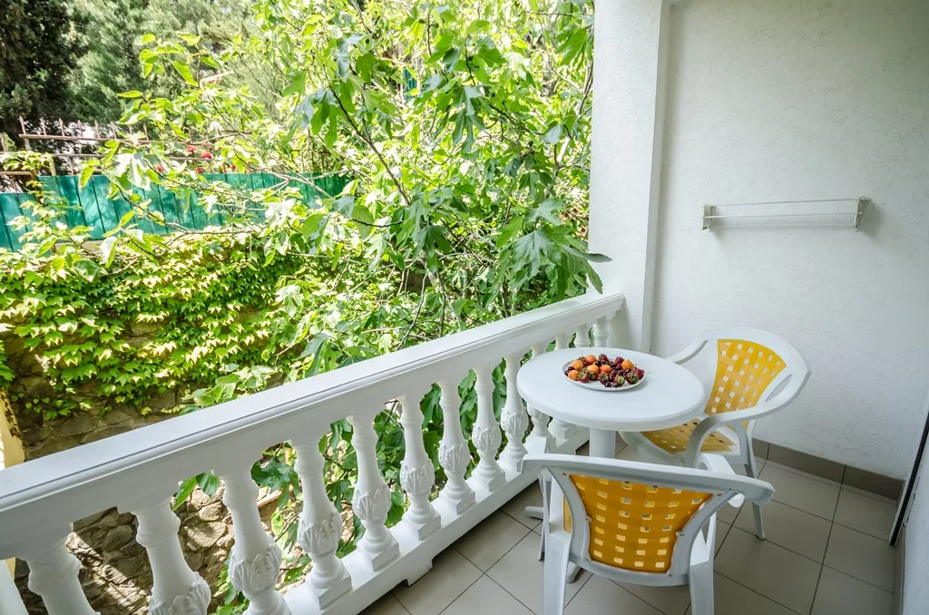 Мечта-1: номер 