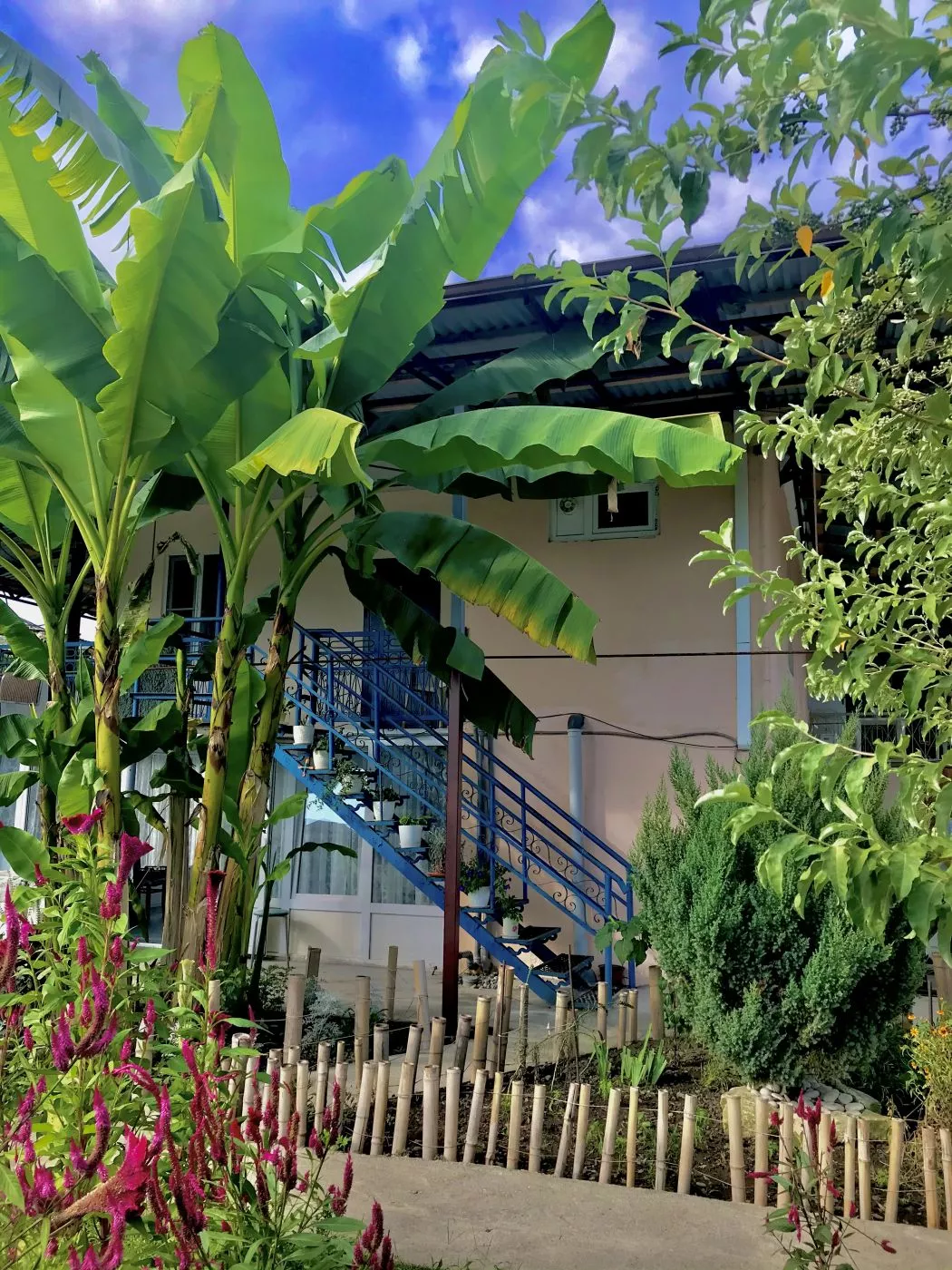 . Гостевой дом "Оазис". Сухум