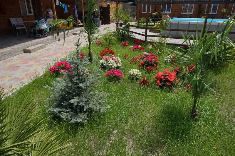 . База отдыха "Ковчег". Лазаревское