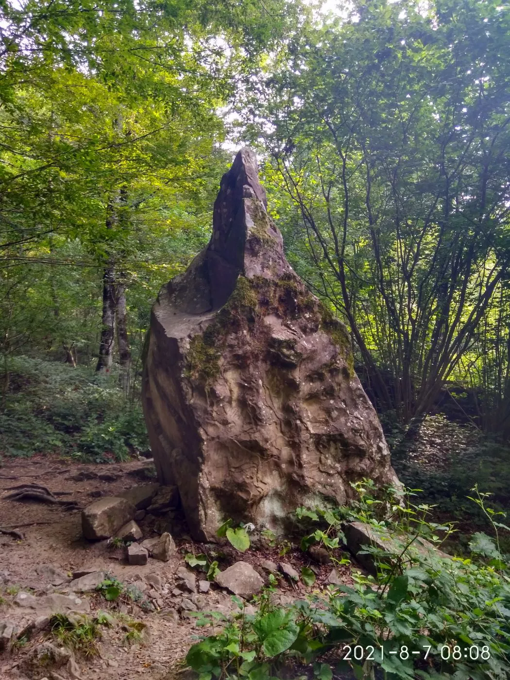. Гостевой дом "РОМАНТИКА". Лазаревское