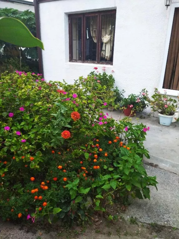 . Частный сектор У Саиды. Сухум