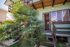 . Гостевой дом Теремок - Головинка. Головинка