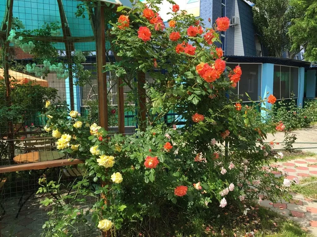 . Отель «Гавань». Ейск