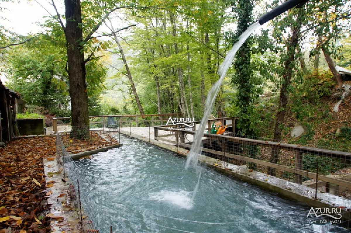 . База отдыха "Алексеевка". Лазаревское