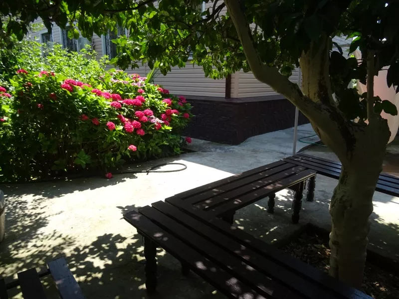 . Частный сектор "Putius bay". Пицунда . Частный сектор "Putius bay". Пицунда