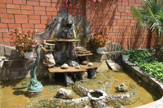 . Гостевой дом Noshen. Солоники