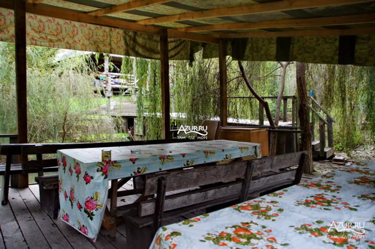 . База отдыха "Алексеевка". Лазаревское