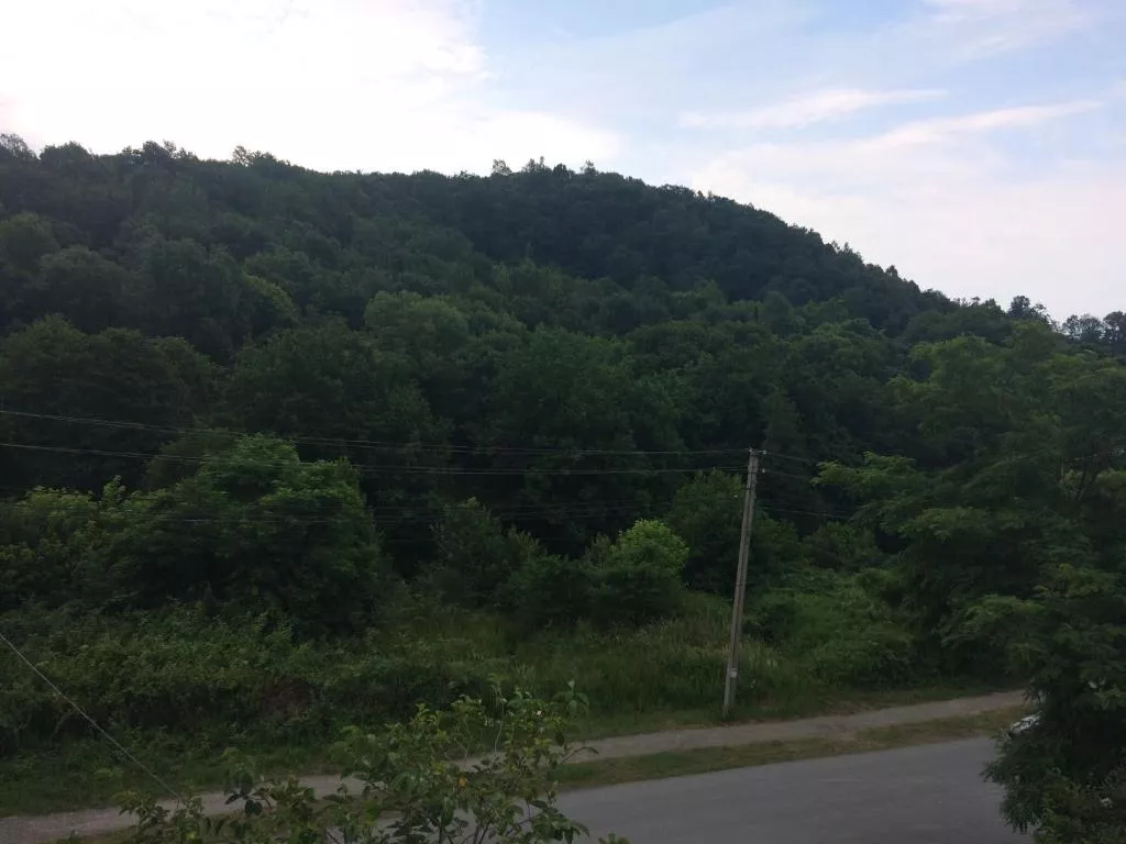 . Гостевой дом «Южная звезда». Якорная Щель