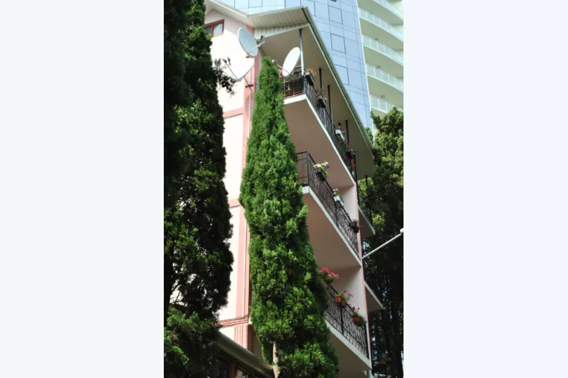 . Гостевой дом Приморский парк. Ялта