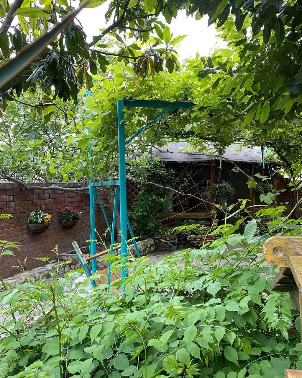 . Гостевой дом "Инжир". Новомихайловский