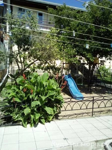 . Гостевой дом "Ставрополье". Гостевые дома в Лазаревском