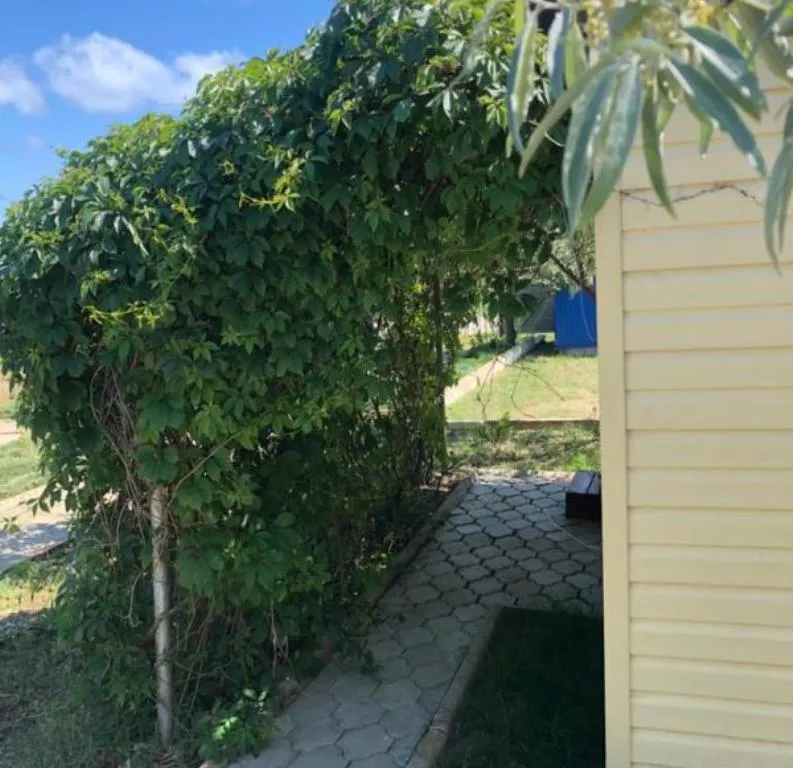 . База отдыха "Оазис". Веселовка