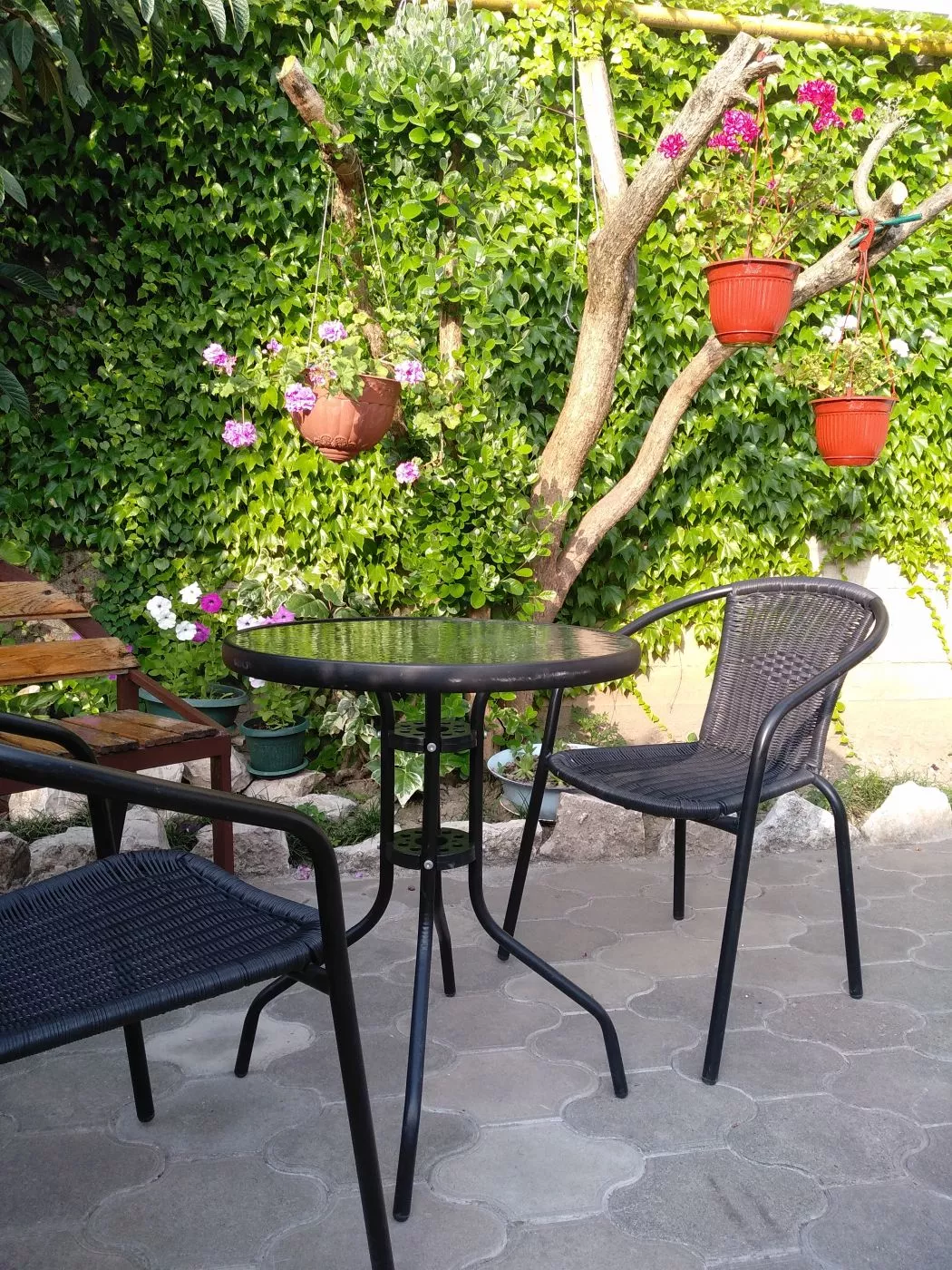 . Частный сектор "Пассифлора". Адлер