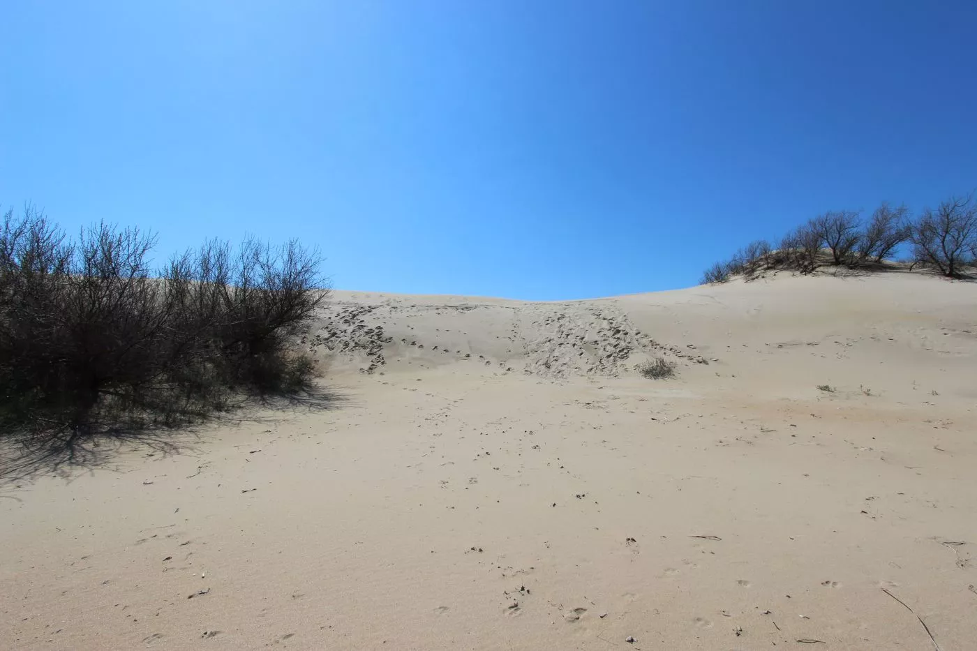 . База отдыха Северное сияние. Анапа