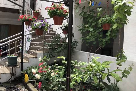 Гостевой дом "Загадка" Гостевой дом "Загадка"