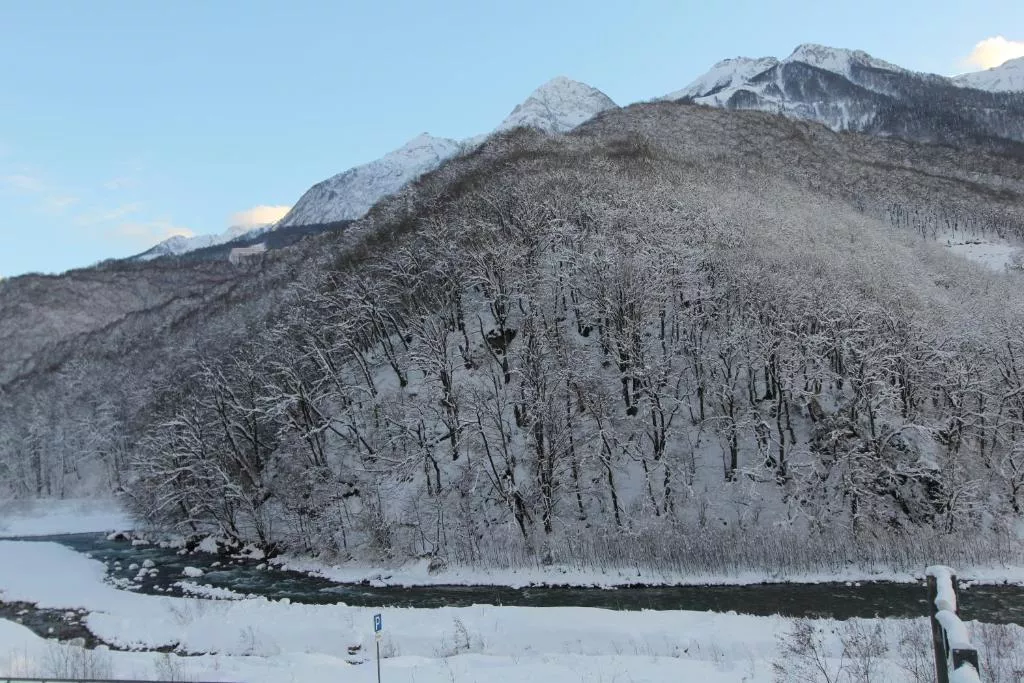 Четырехместный номер «Премиум» отель 