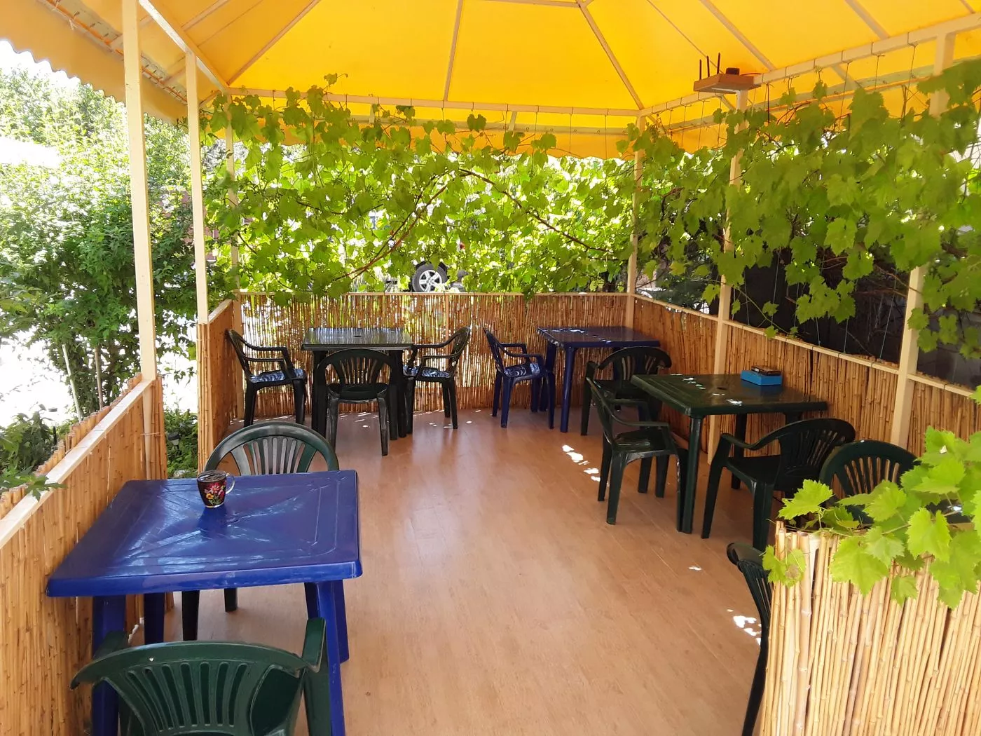 . Гостевой дом Орловка. Севастополь . Гостевой дом Орловка. Севастополь