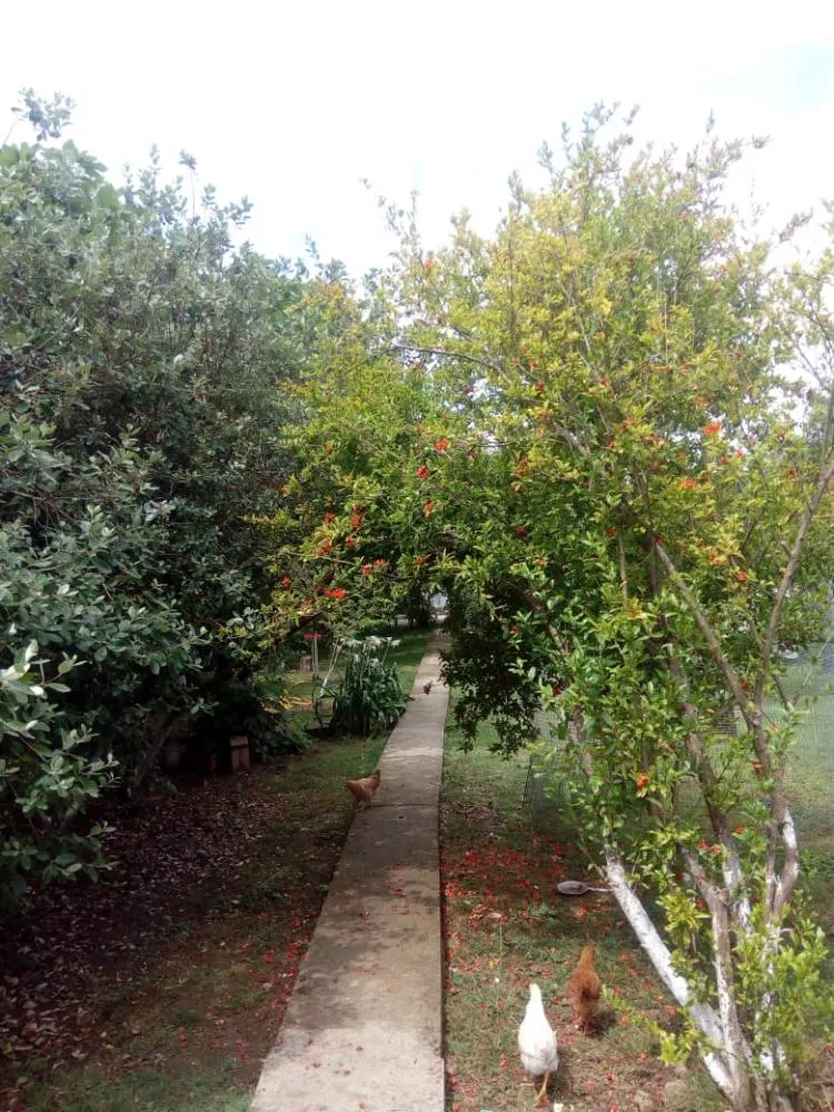 . Частный сектор Гостевой дом на ул.Чамагуа 7. Гудаута