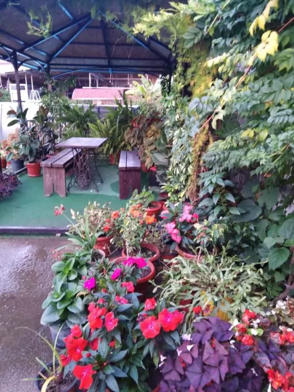 . Гостиница "Орлинка". Лермонтово