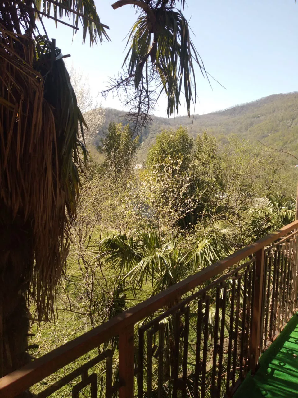 . База отдыха "Алексеевка". Лазаревское