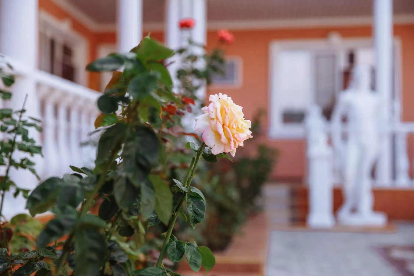 . Гостевой дом «Red House». Заозерное