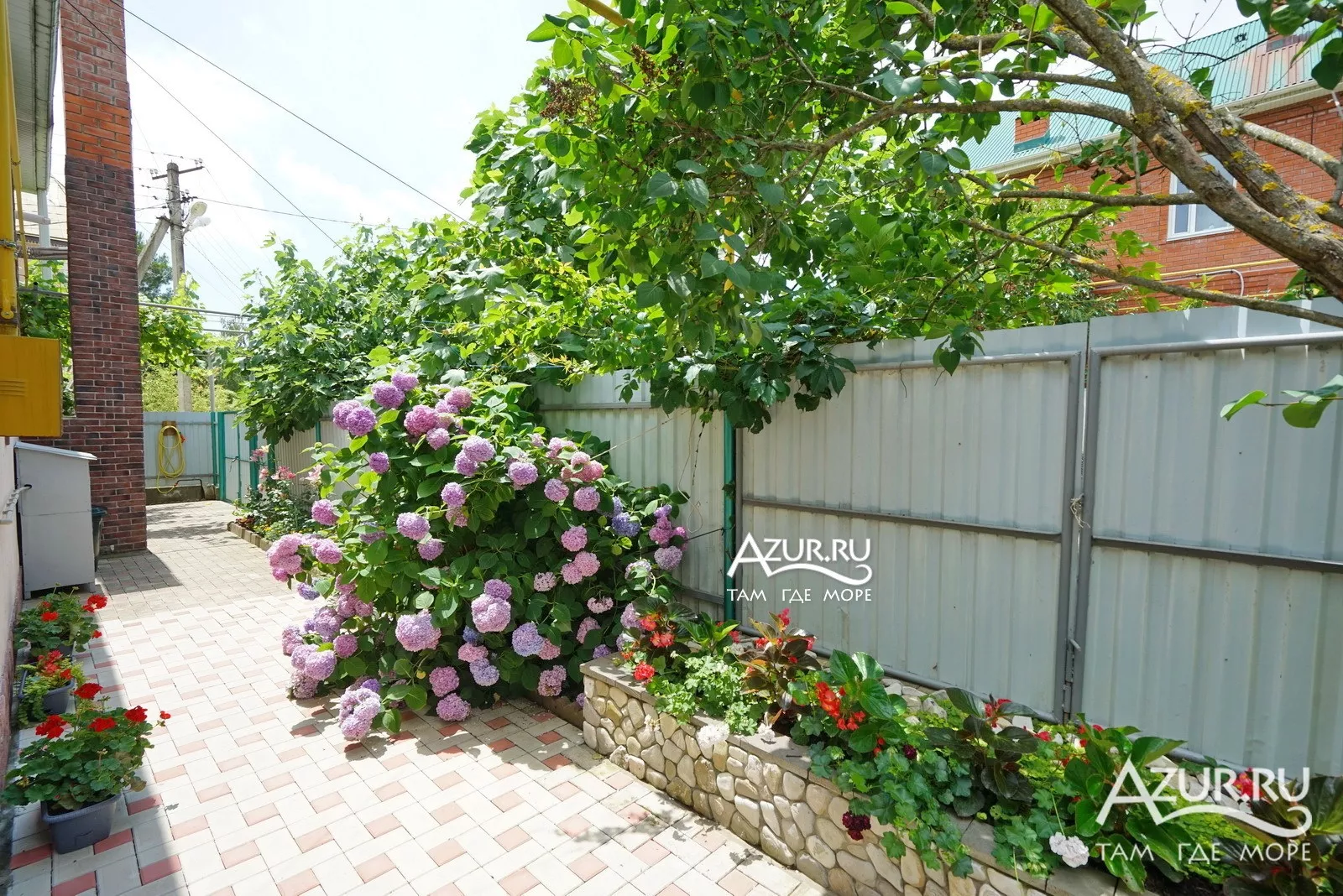 . Гостевой дом "У Светланы" в Ольгинке      . Ольгинка