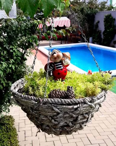 Гостевой дом «Морская миля»