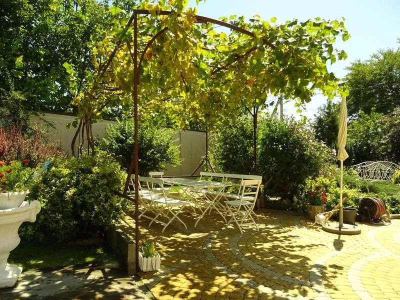 . Гостевой дом "Костяника" . Криница . Гостевой дом "Костяника" . Криница