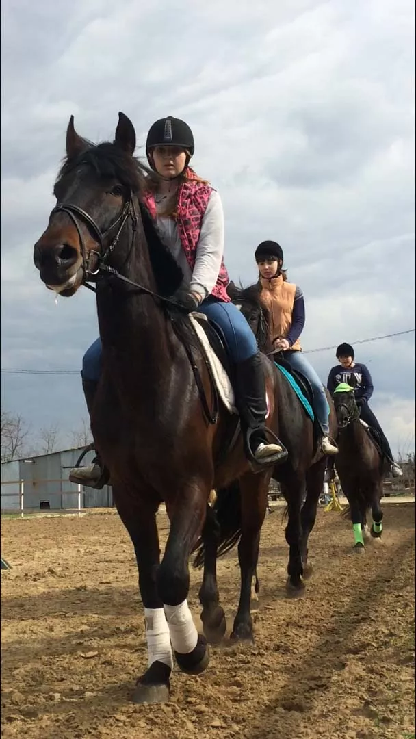. Гостевой дом "Александровский". Темрюк